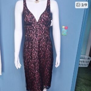 NWT! Black Lace Coral Pink Sultry Sexy Dress Size 10
